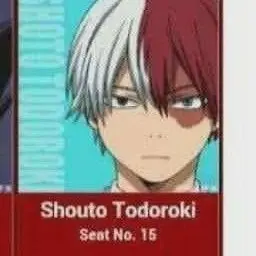 Profile image of Shoto Todoroki