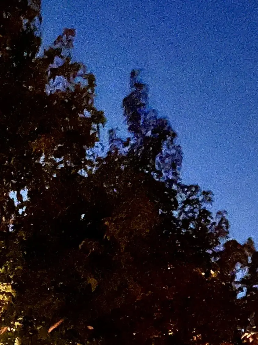 TartanFossa9791의 人気俳優はストーカーです。