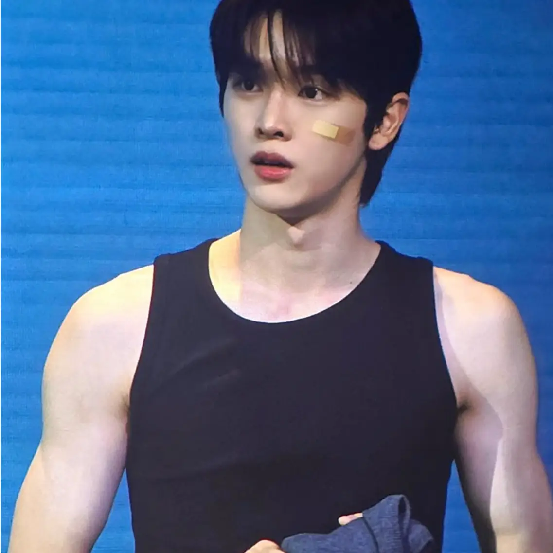 MistyLatch7835의 정성찬