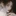 휘