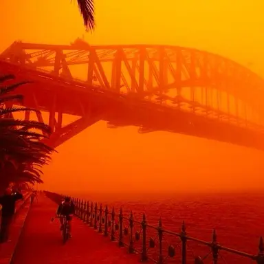 Profile image of 코마