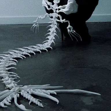 Profile image of 서해윤