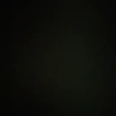 Profile image of 시노부