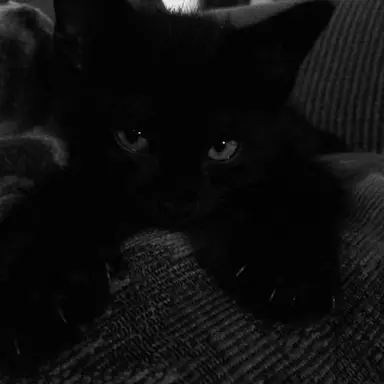 Profile image of Nicholas