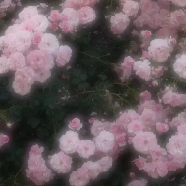 Profile image of 宇佐美