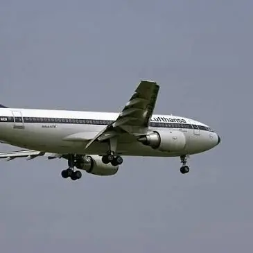 Profile image of A310-200