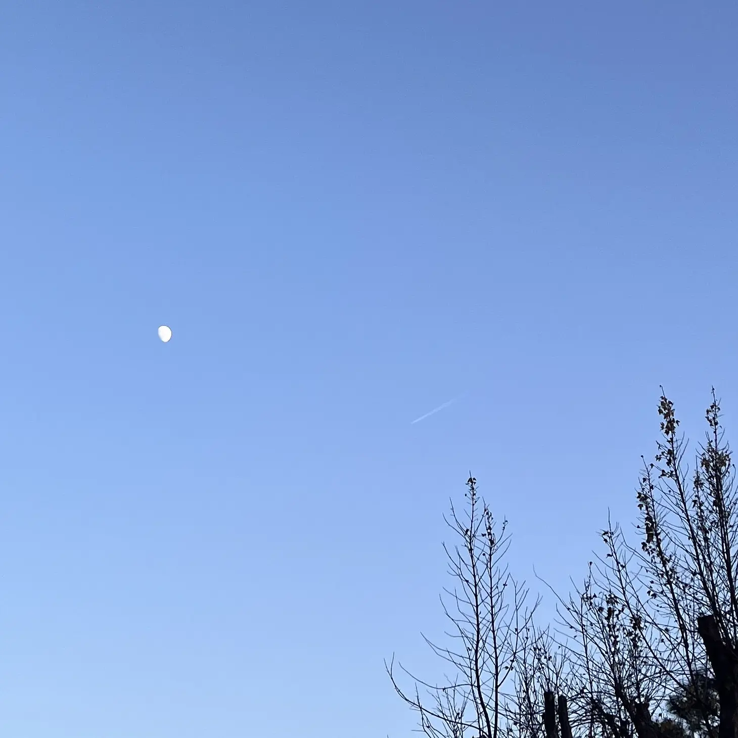 BlandGuest8874의 느좋 남사친