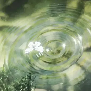 Profile image of 우유참치