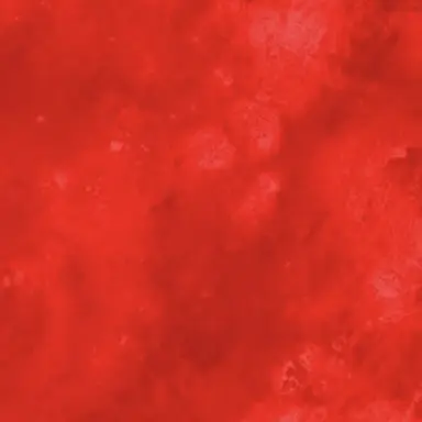 Profile image of 大森元貴