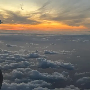 Profile image of 백지헌