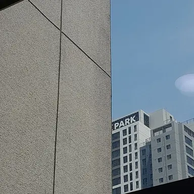 Profile image of 배이