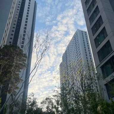 Profile image of 릴리 진 박 머러우