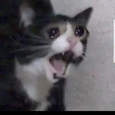 Profile image of 늑대