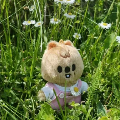 Profile image of 한지성