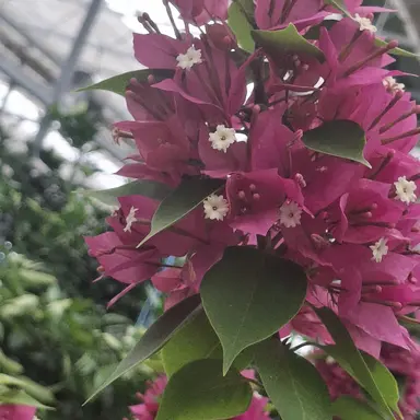 Profile image of 수현