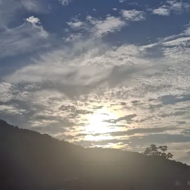 Profile image of 각별