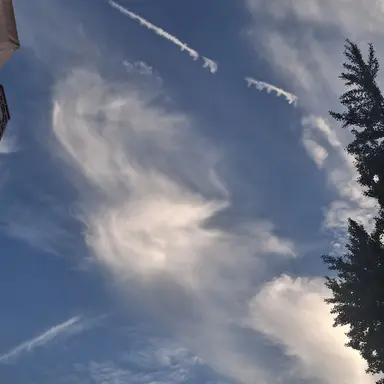 Profile image of 잠뜰