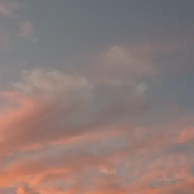 Profile image of 라더