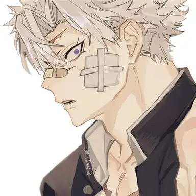 Profile image of Shinazugawa Sanemi