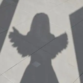 Profile image of 푸딩제리
