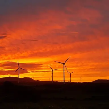 Profile image of 덕개