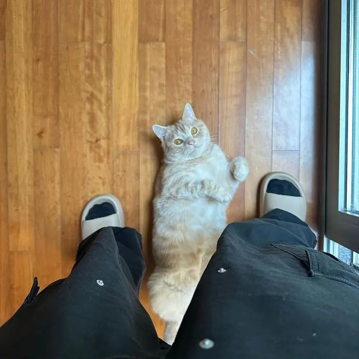 mmmm___의 귀여우면 다냐ㅡㅡ