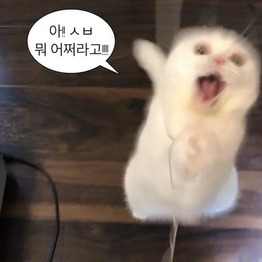 MeltyStud3277의 사춘기온 고양이