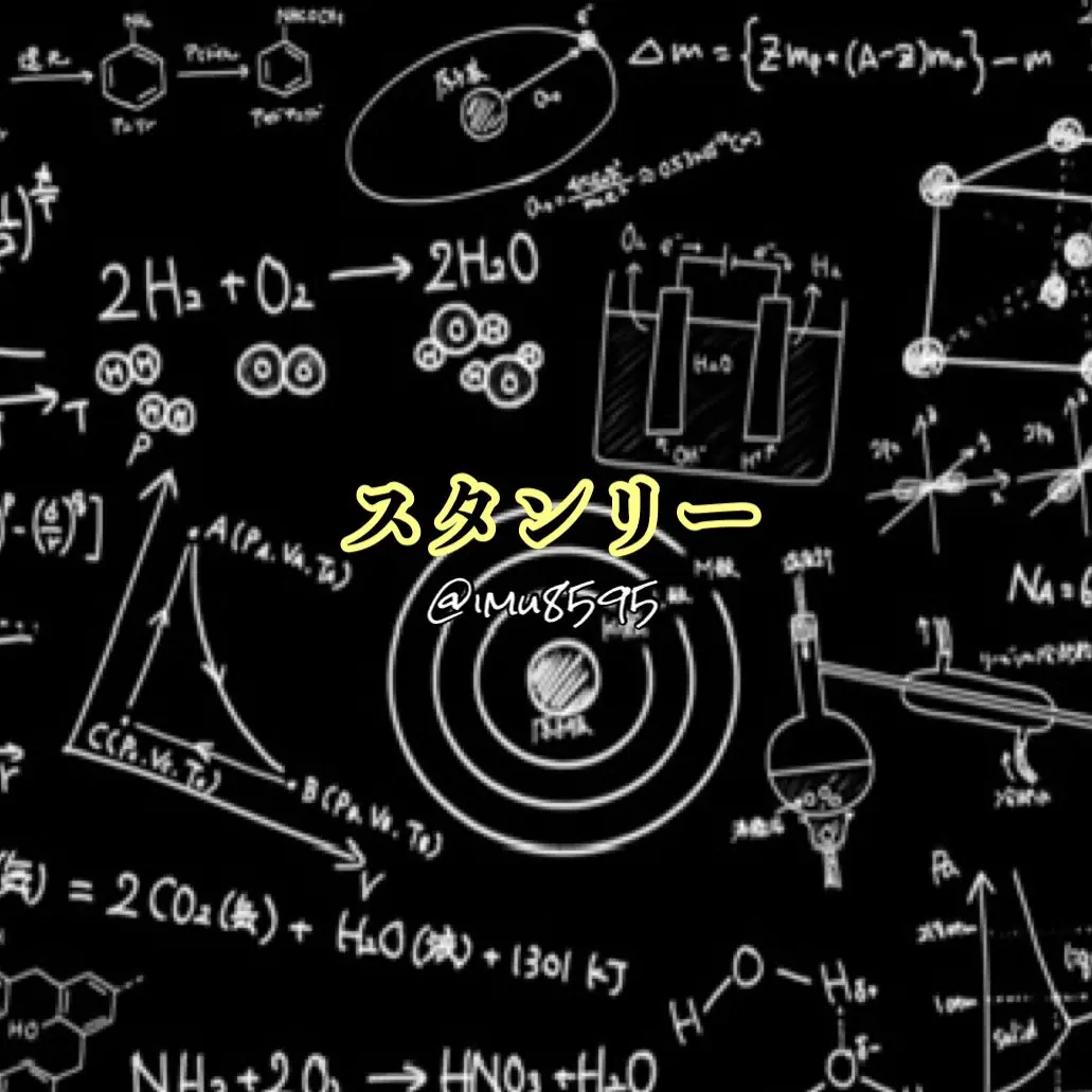 imu8595의 スナイダー家