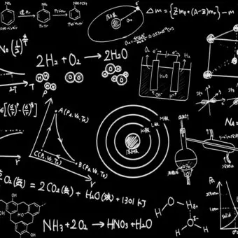 imu8595의 スナイダー家