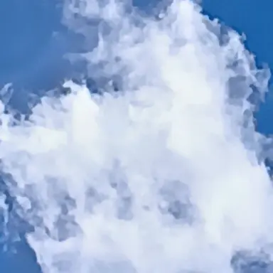Profile image of 林