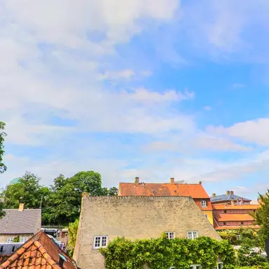 Profile image of 로보 프로스터