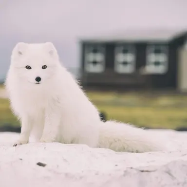 Profile image of 유니