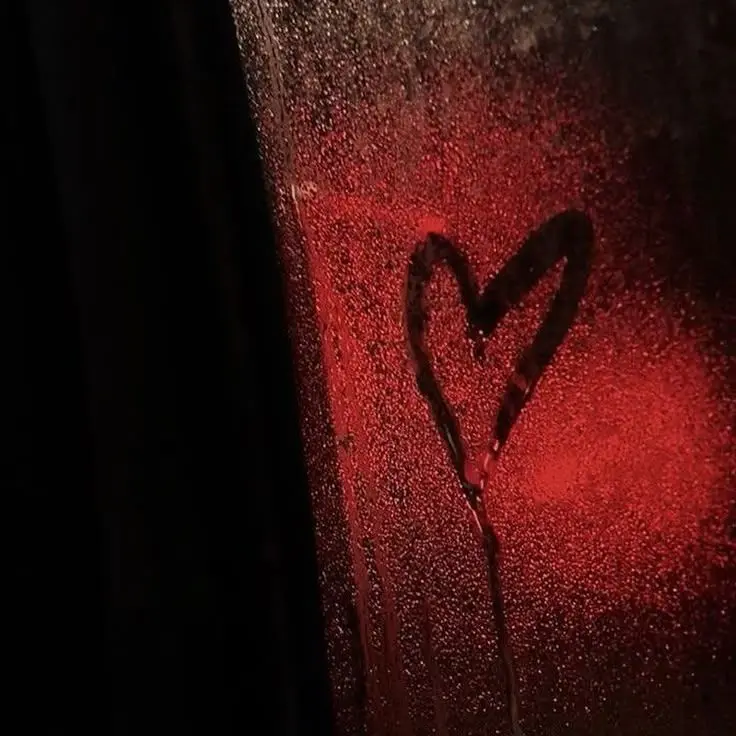 n.27의 서라더 _ 1215