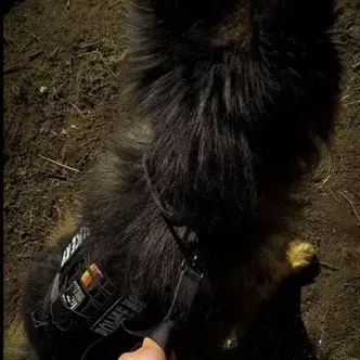 QuaintCage9785의 TF141- GUARD HYBRID