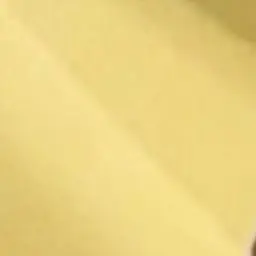 Profile image of りょうちゃん