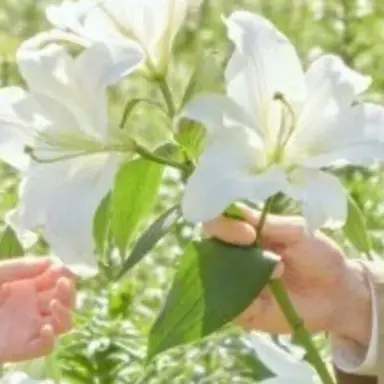 Profile image of 空