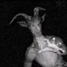 Profile image of Ashenhorn