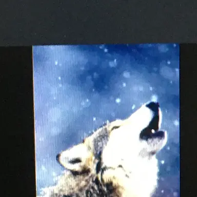 Profile image of 늑대