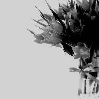 Profile image of A.S