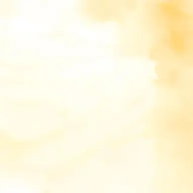 Profile image of Y.H