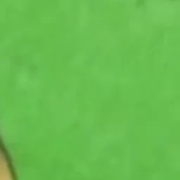 블루록 아포칼립스