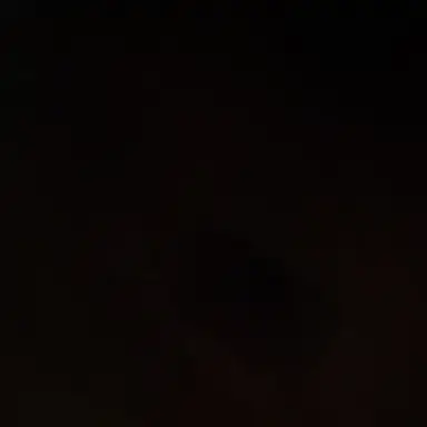 Profile image of 김유연