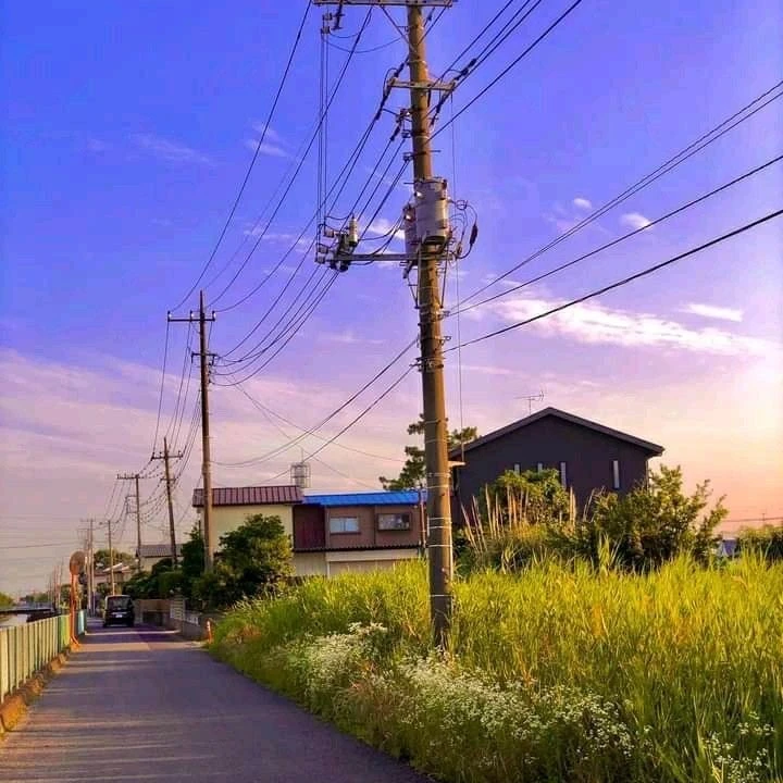 곽지한
