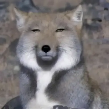 Profile image of 여우