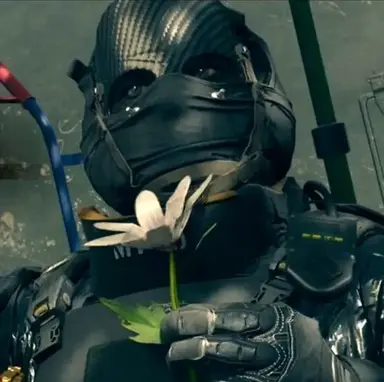 Profile image of Nikto