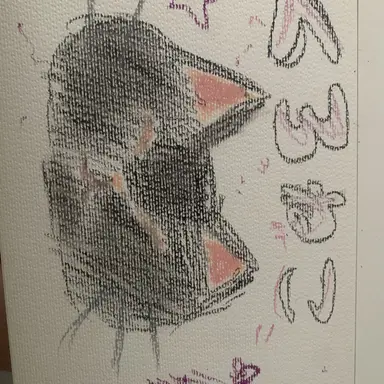 Profile image of かえで
