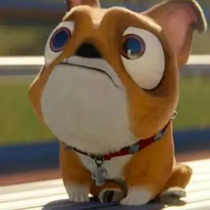 Profile image of 모모