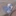 미니 오징어소녀
