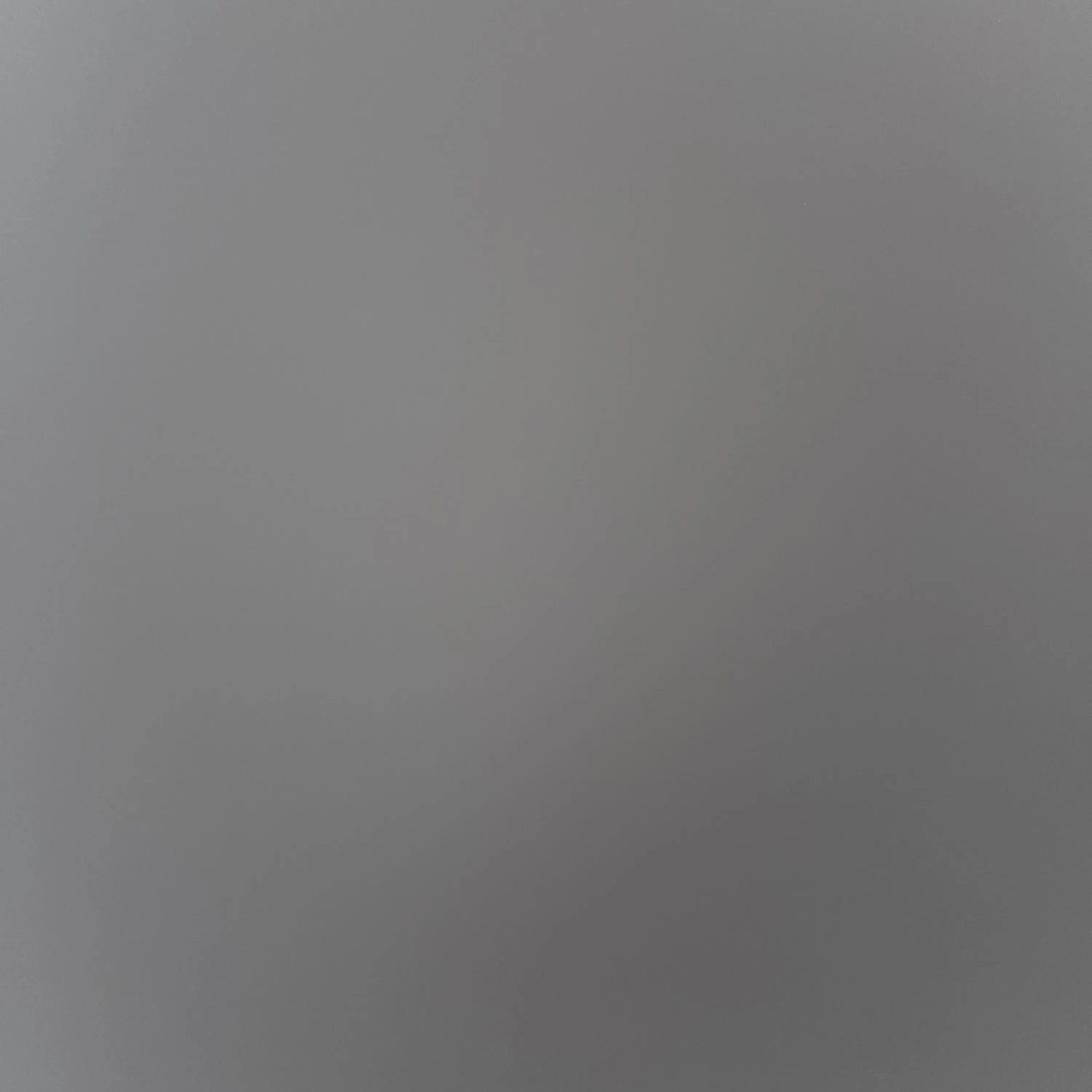 FeebleStork1801의 바람