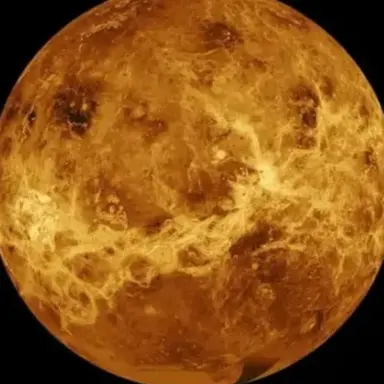 Profile image of 金星